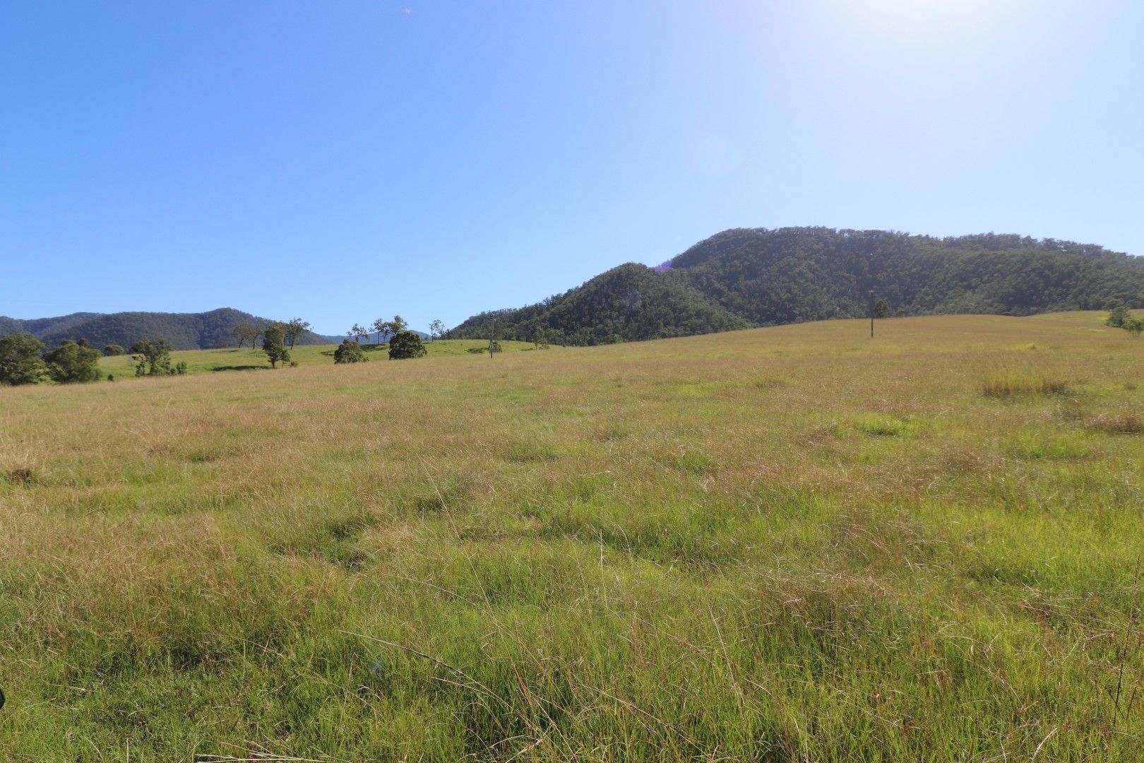 Lot 91/7986 Kempsey Rd, Lower Creek NSW 2440, Image 0