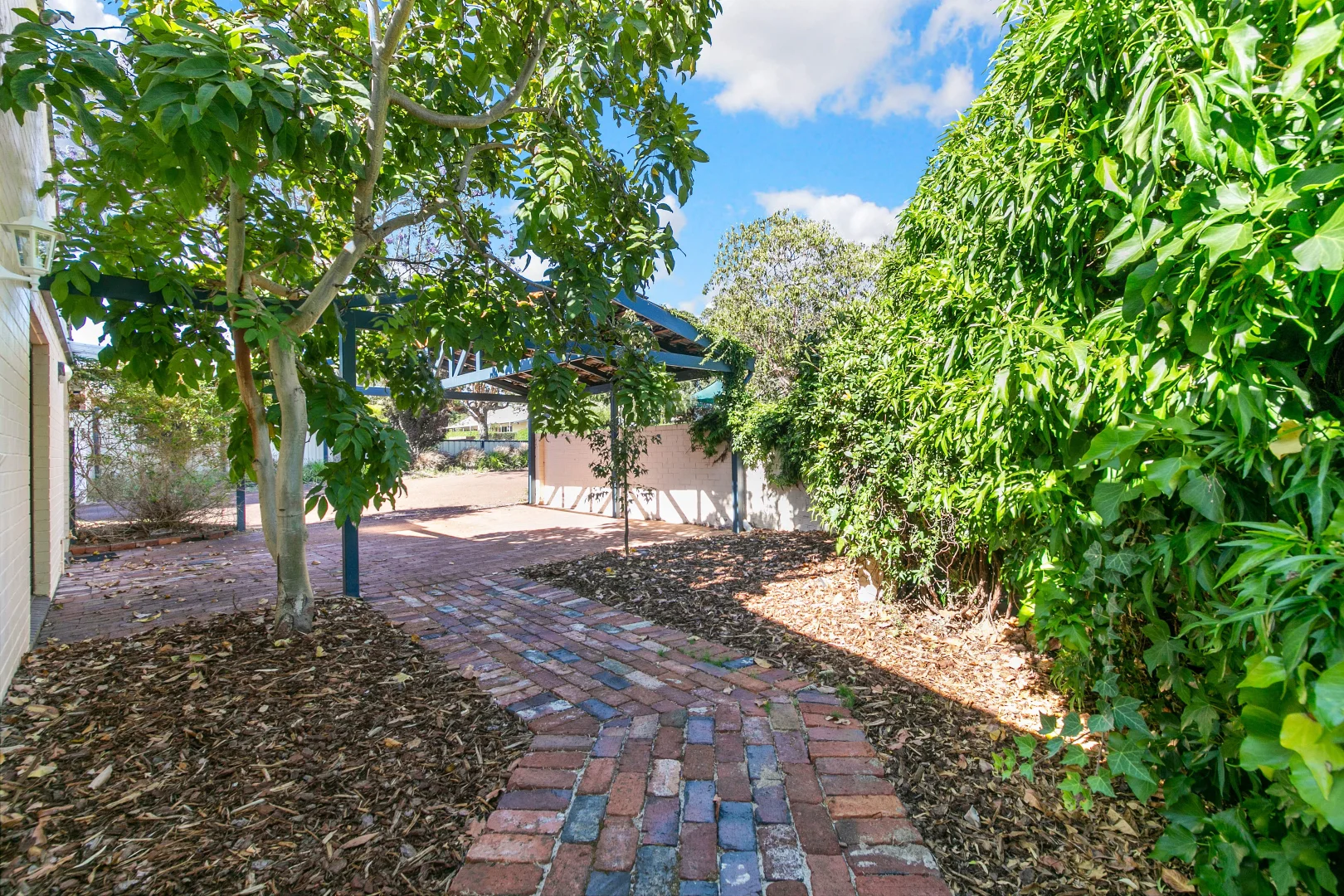 Image 12