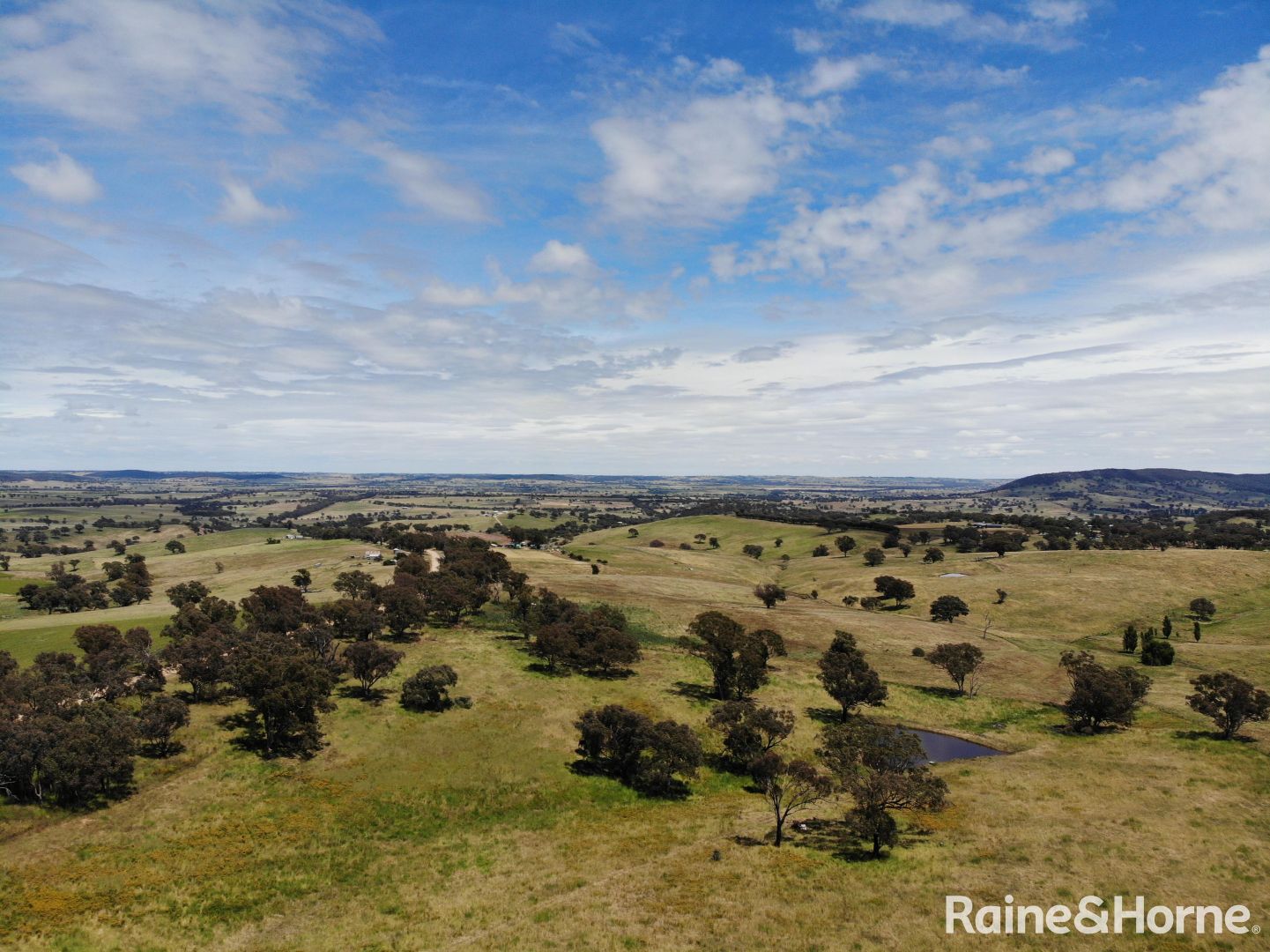 1370 Geegullalong Road, Murringo NSW 2586, Image 1