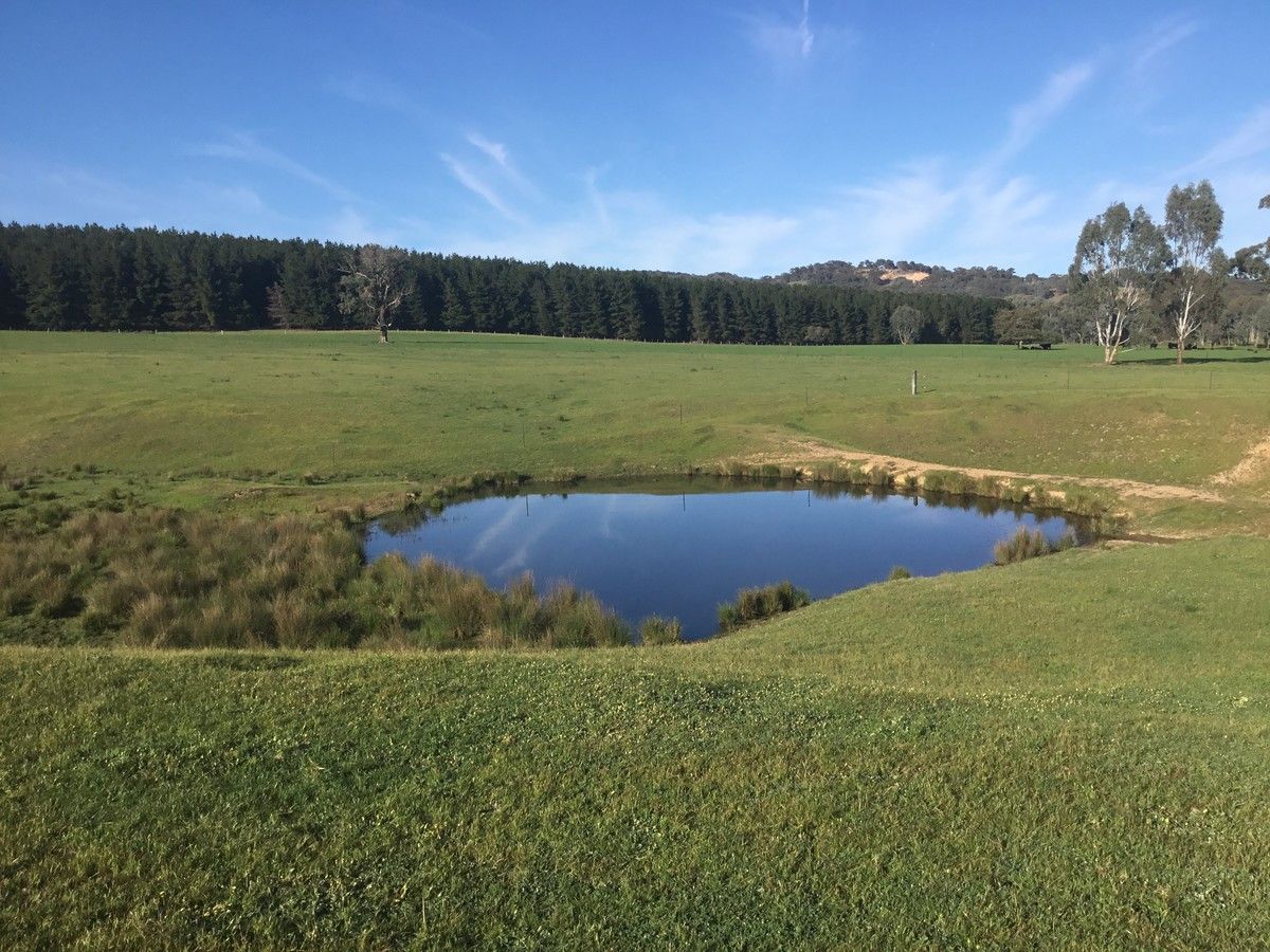 2 Moyhu -Meadow Creek Road, Meadow Creek VIC 3678, Image 1