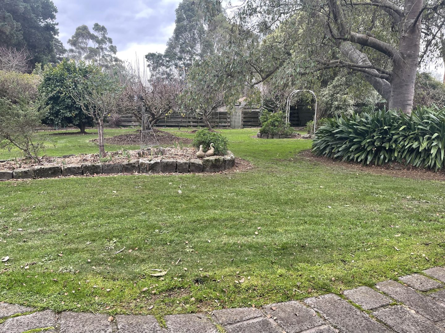 14 Neylon Street, Cobden VIC 3266 House For Rent Domain