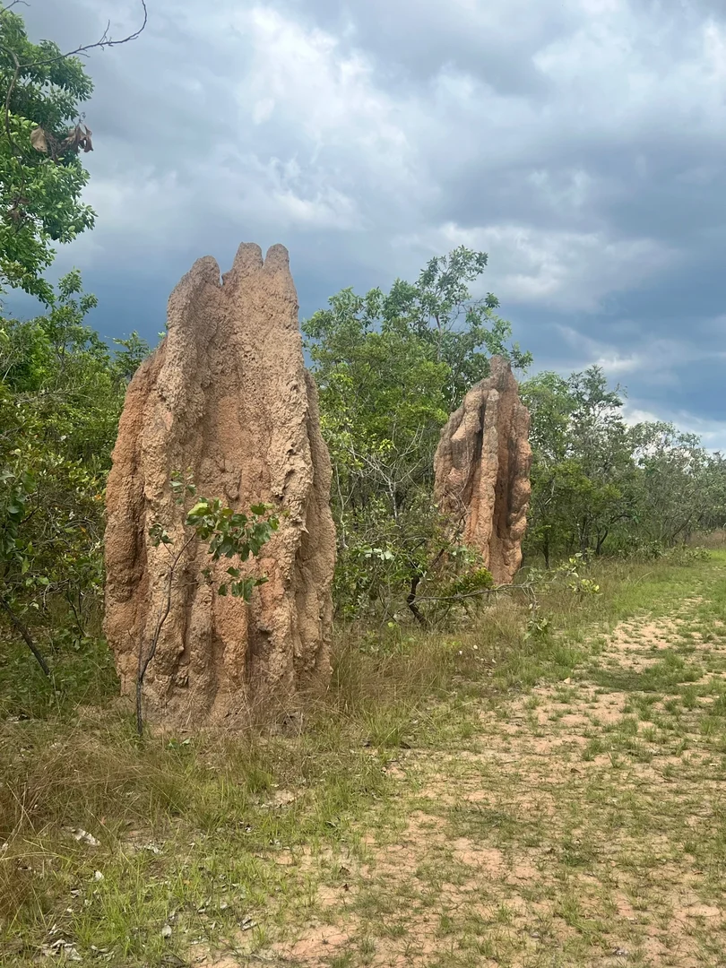Image 12