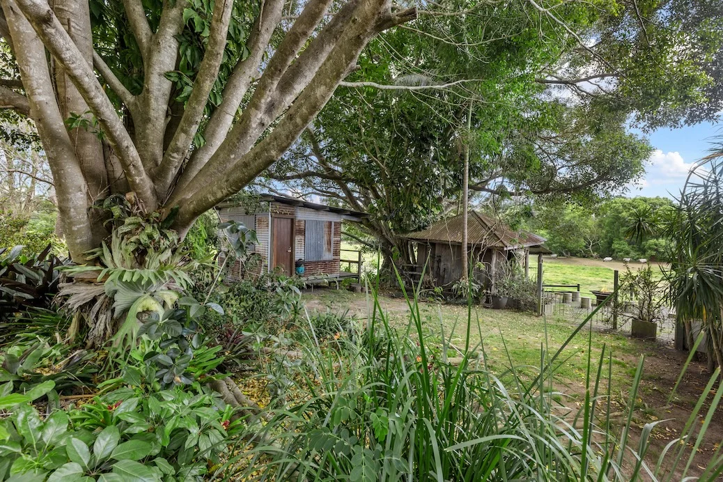 Image 13