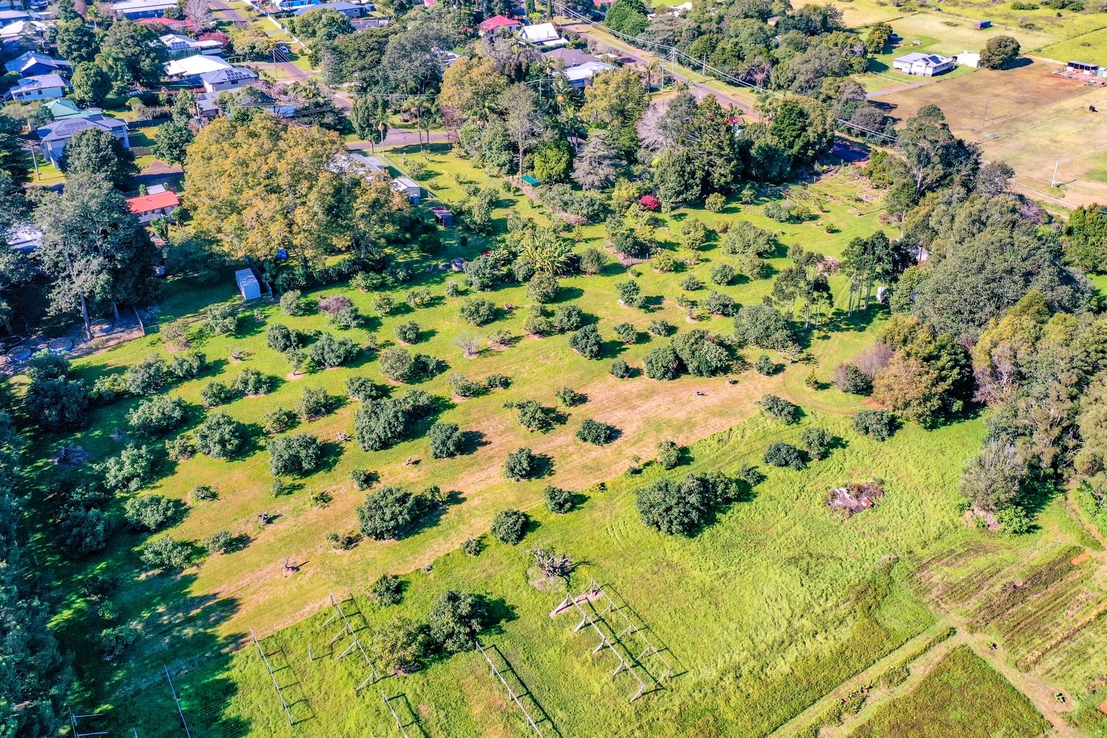 39 Beacon Road, Tamborine Mountain QLD 4272, Image 1