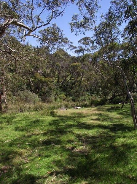 Lot 1/Lot 1 Tunk Head Road, TUNKALILLA SA 5203, Image 2