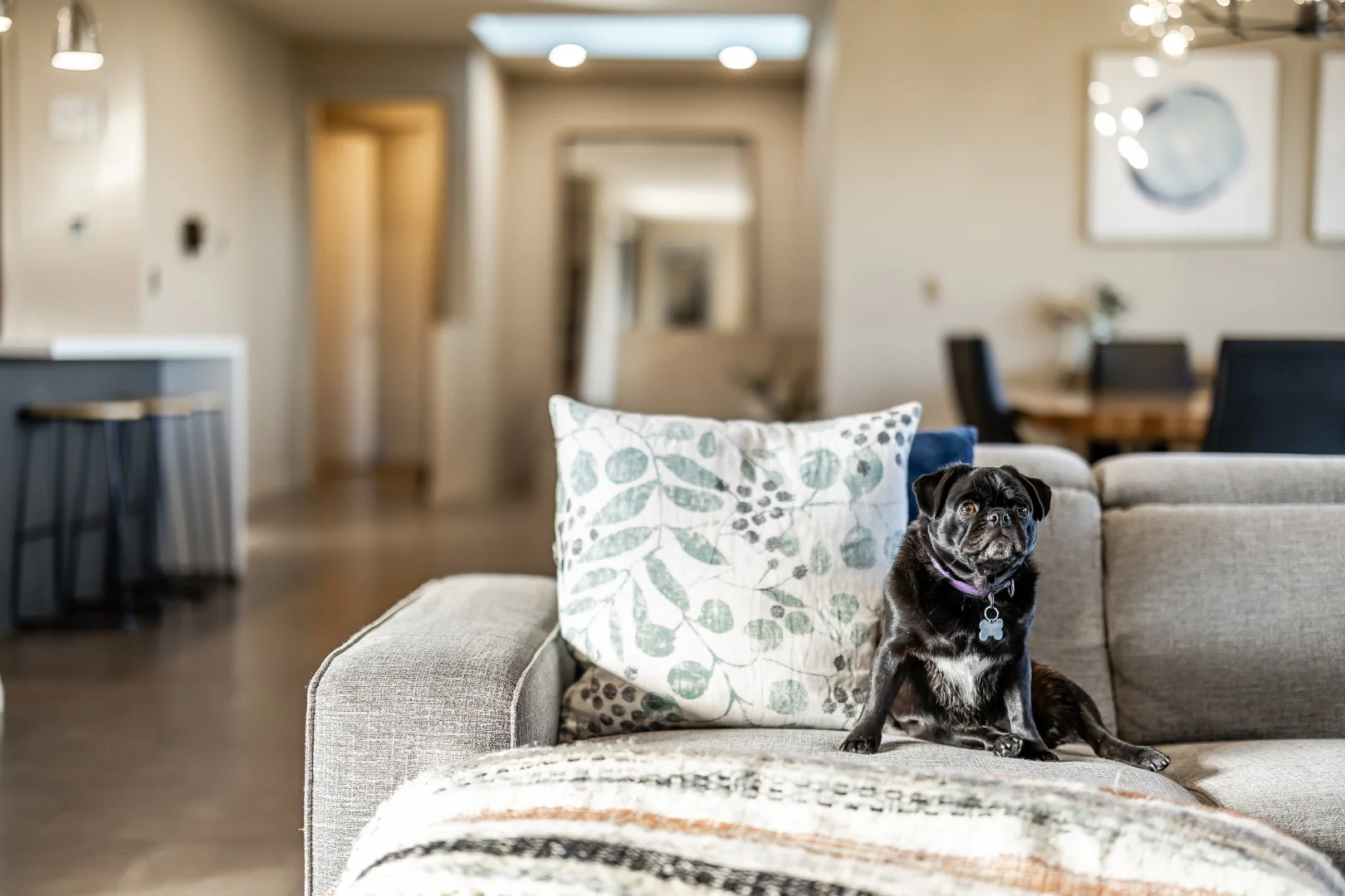 Image 14