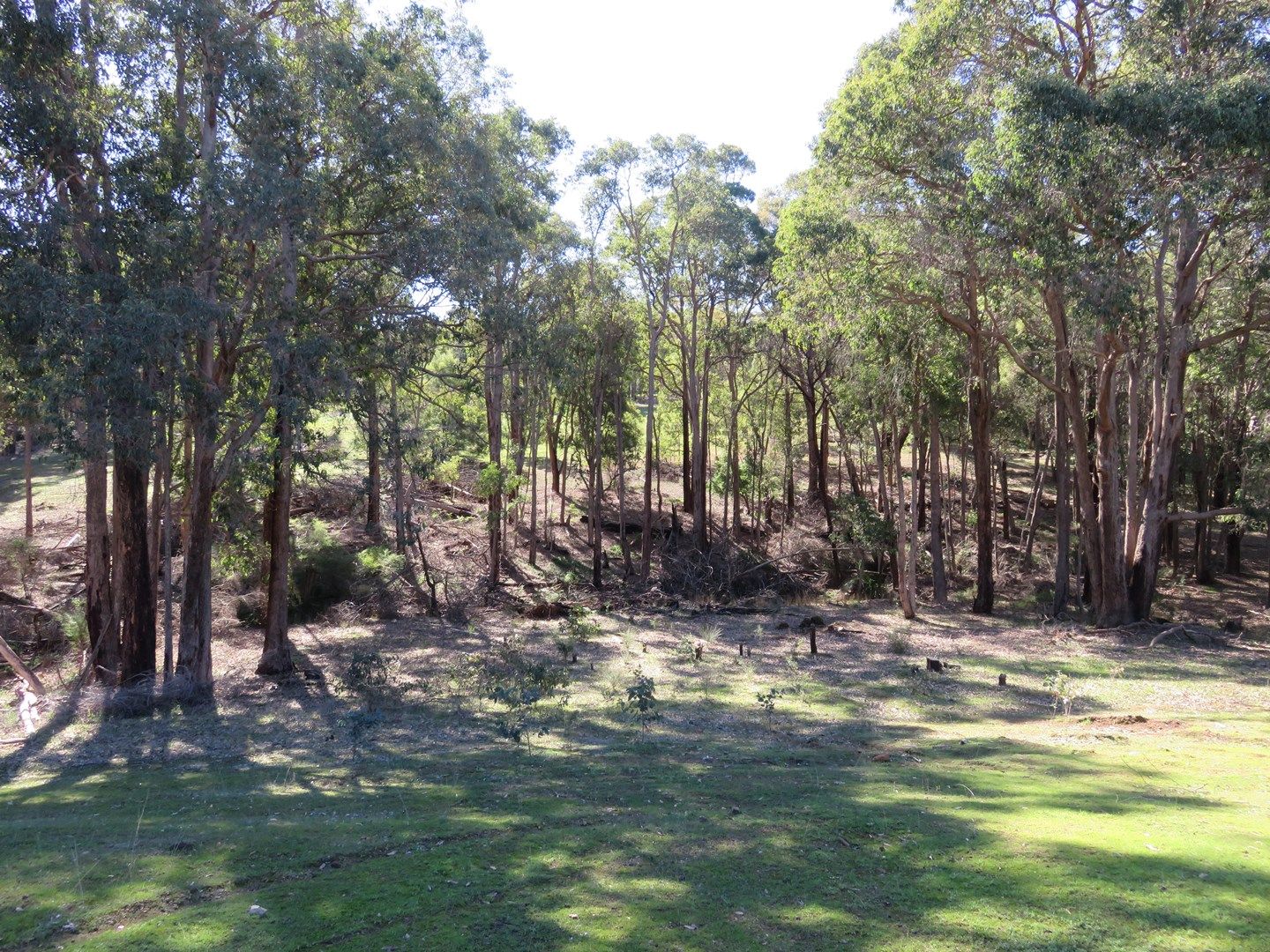 Lot 57 Duncombe Dve, Parkerville WA 6081, Image 0