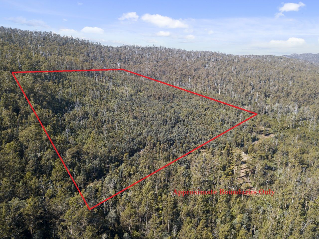 430 Braslins Road, Black Hills TAS 7140, Image 0