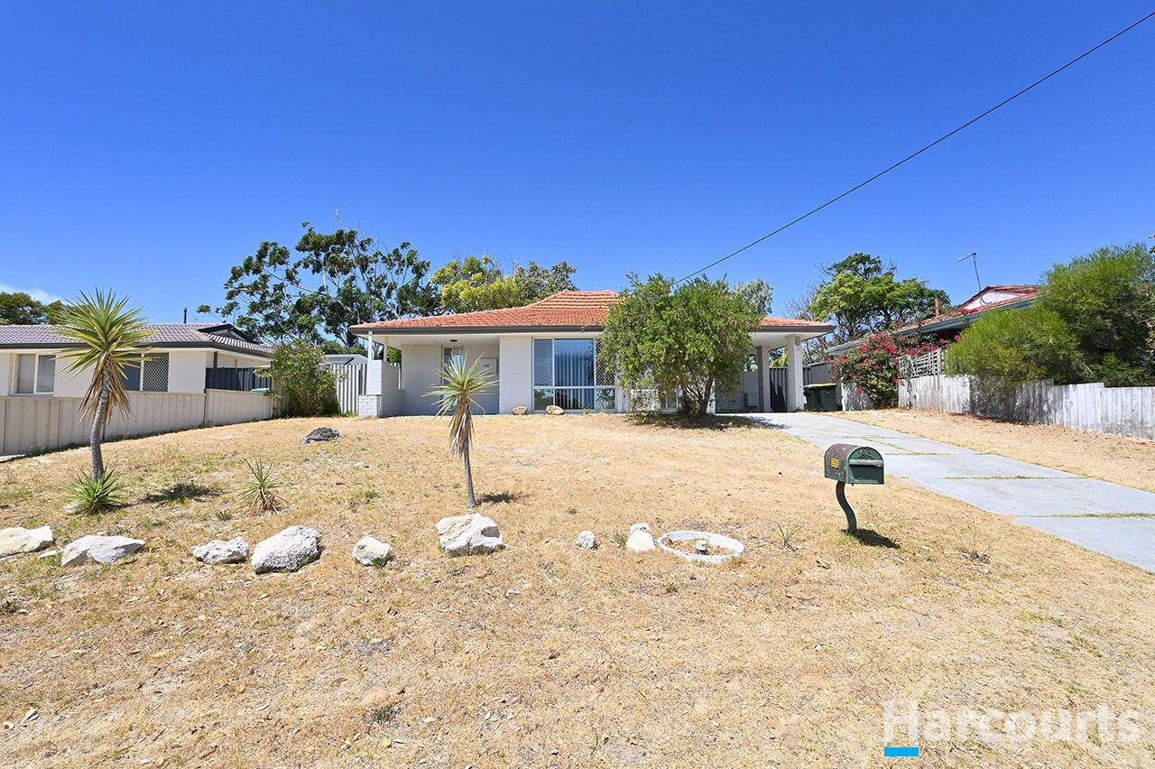 305 Camberwarra Drive, Craigie WA 6025 House For Rent Domain