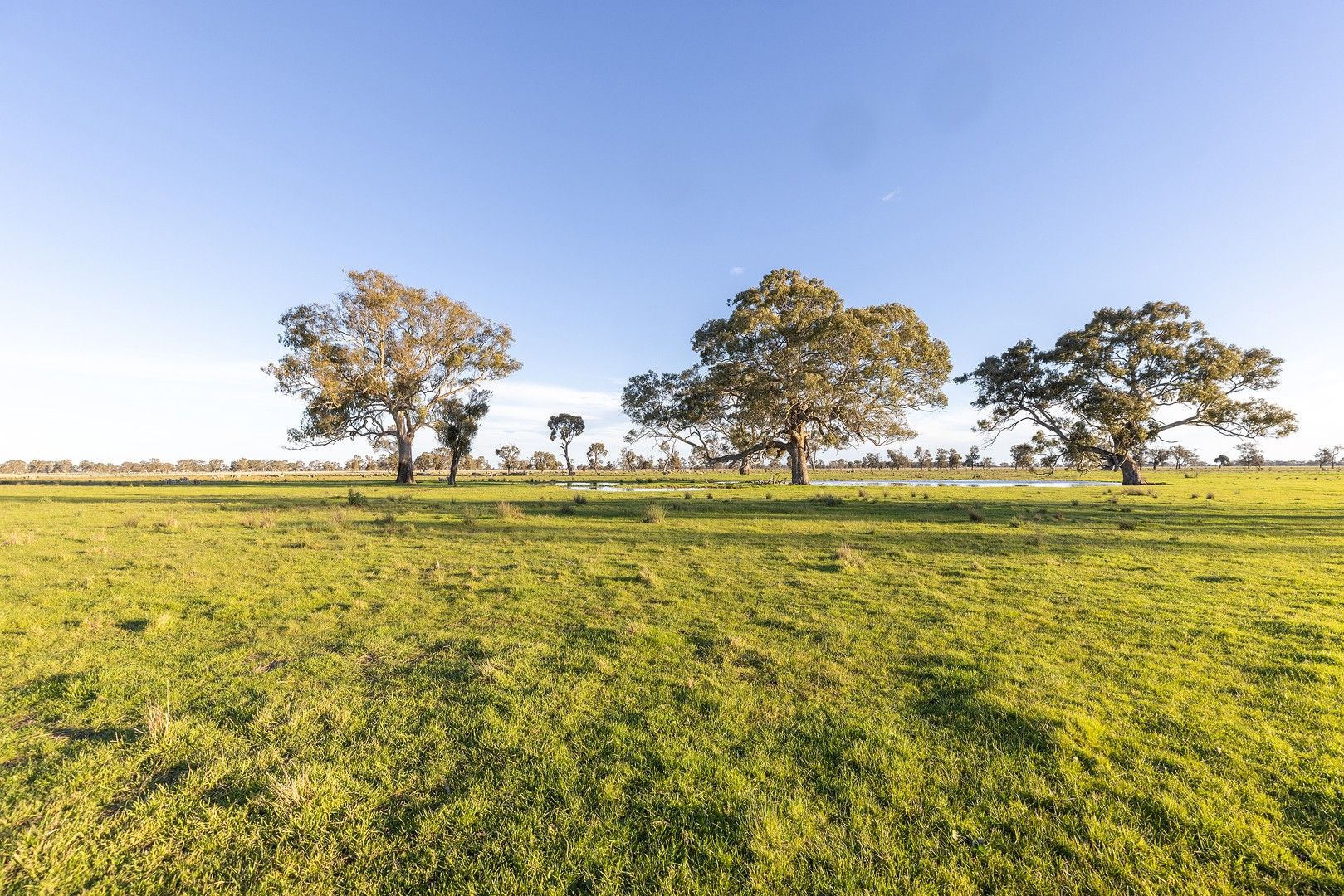 Lot 42A and 42B Davies Road, Apsley VIC 3319, Image 0