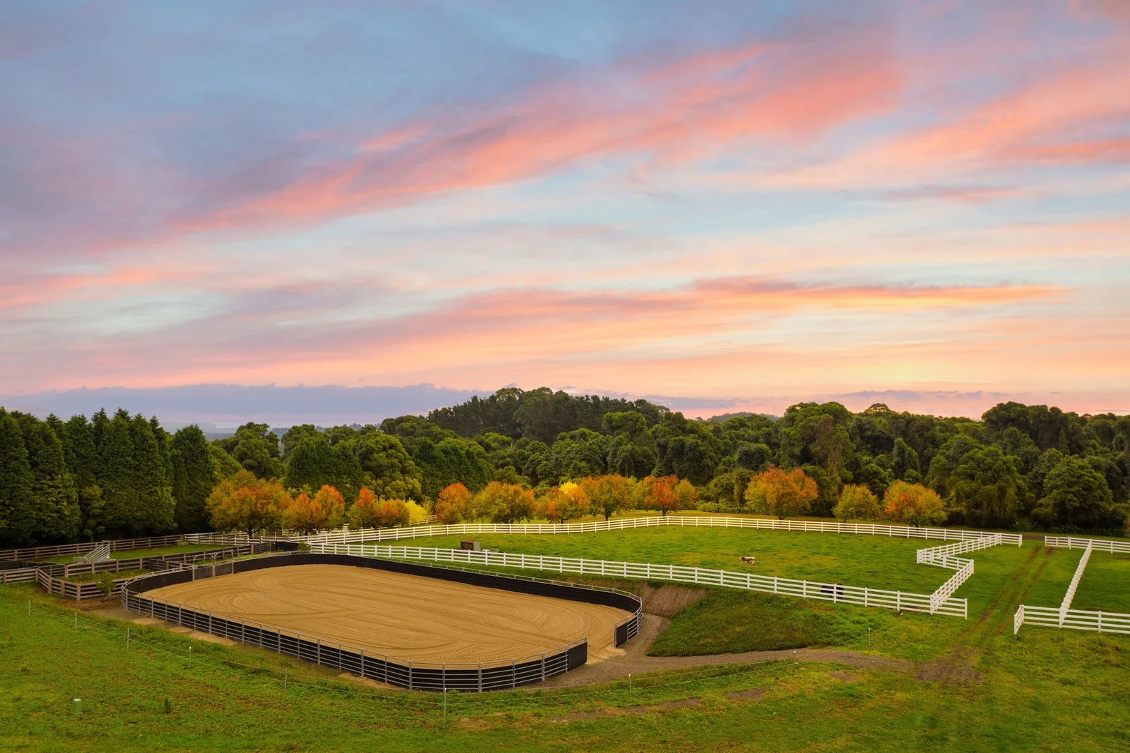 Additional image 14 of 101 Pearsons Lane, Robertson NSW 2577