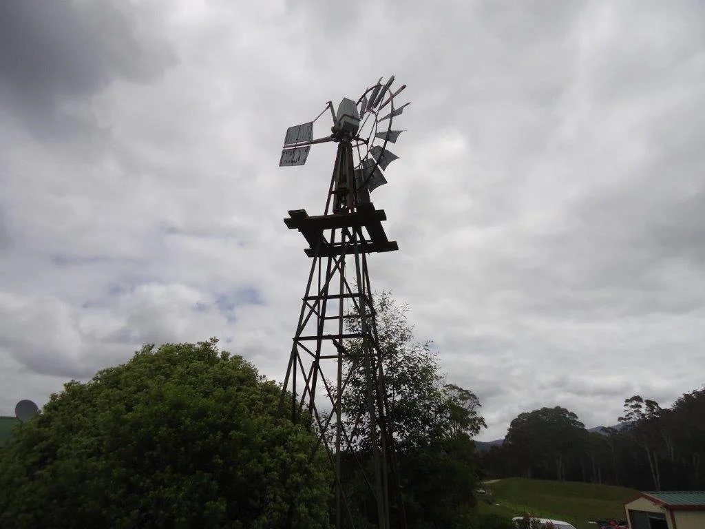 Image 11