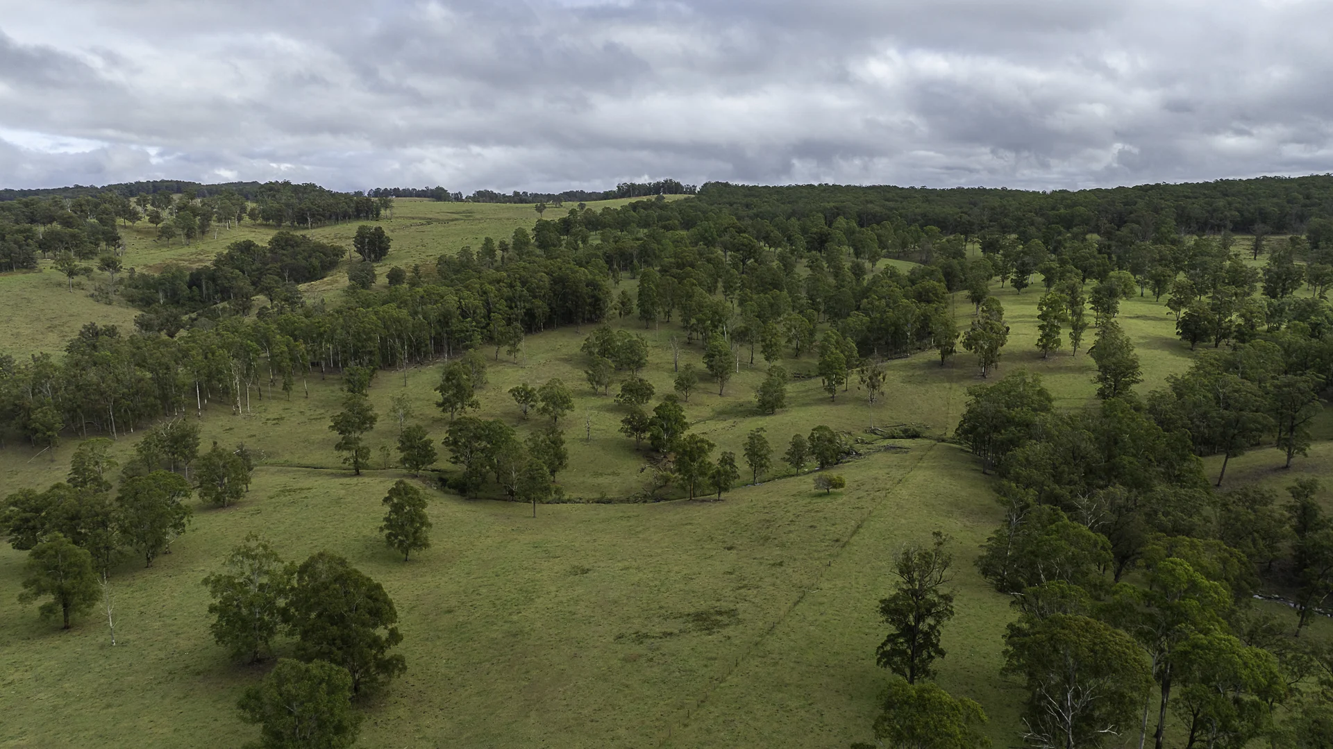 Image 25