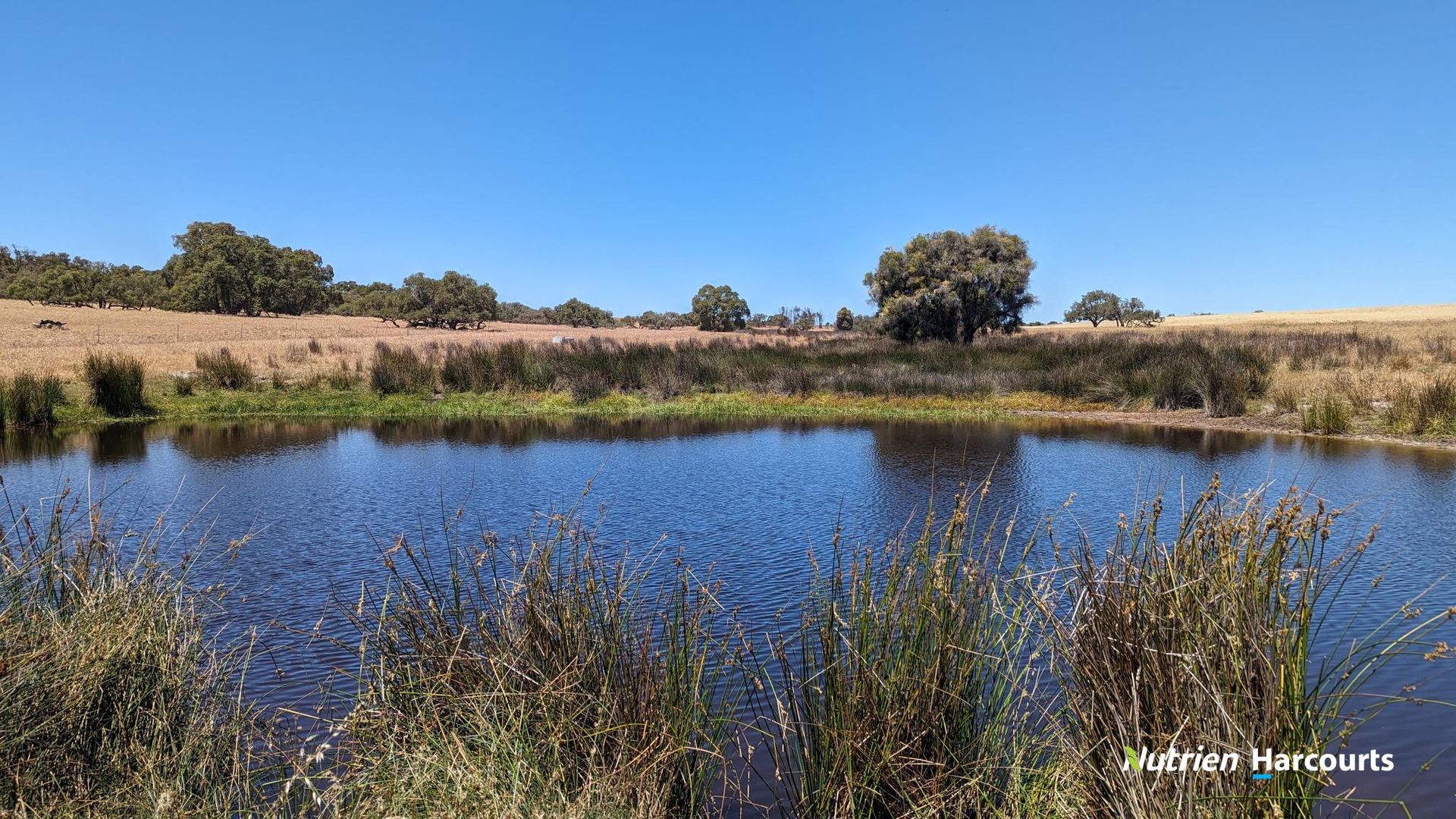 374 Mogumber Road, Red Gully WA 6503, Image 2