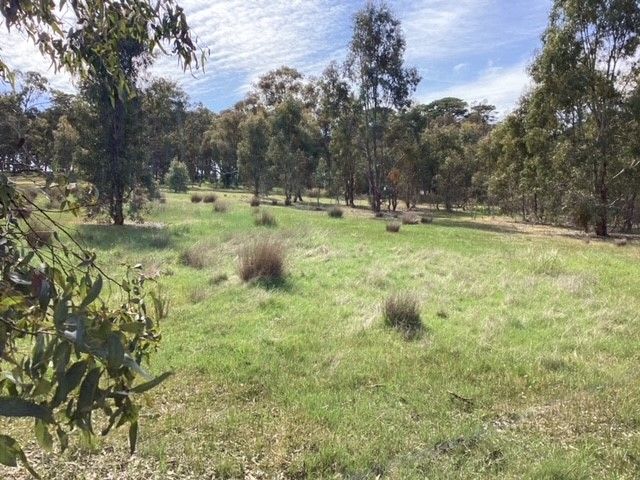 Lot 38C Lexton-Evansford Road, Evansford VIC 3371, Image 1