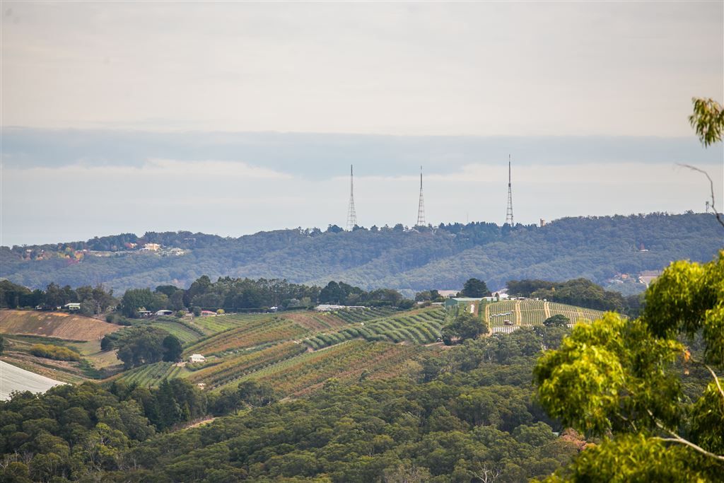 Forest Range SA 5139, Image 2