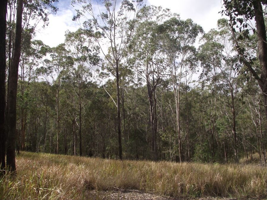 Stegemann Road, Upper Glastonbury QLD 4570, Image 1