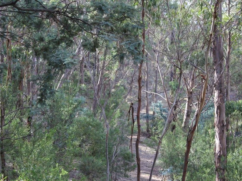 Image 19