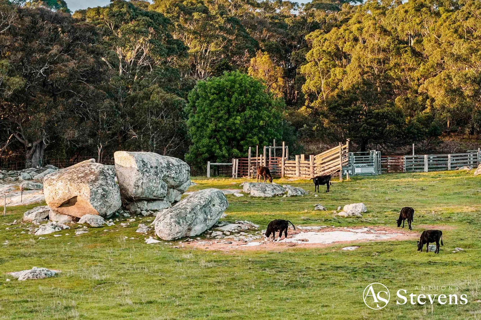 Additional image 6 of 600 Tooborac-Baynton Road, Glenhope East VIC 3522