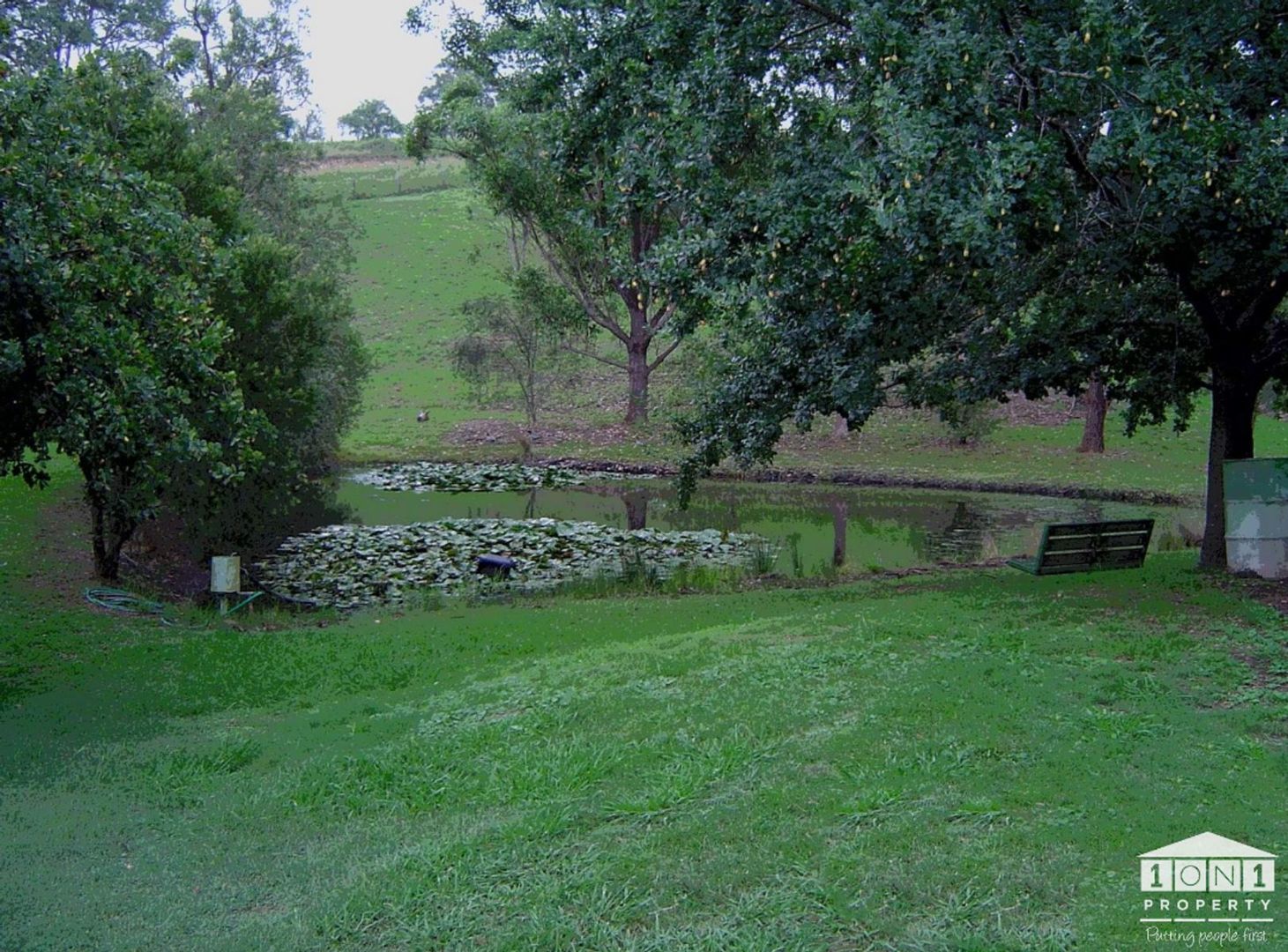 101 Clements Road, East Gresford NSW 2311, Image 2