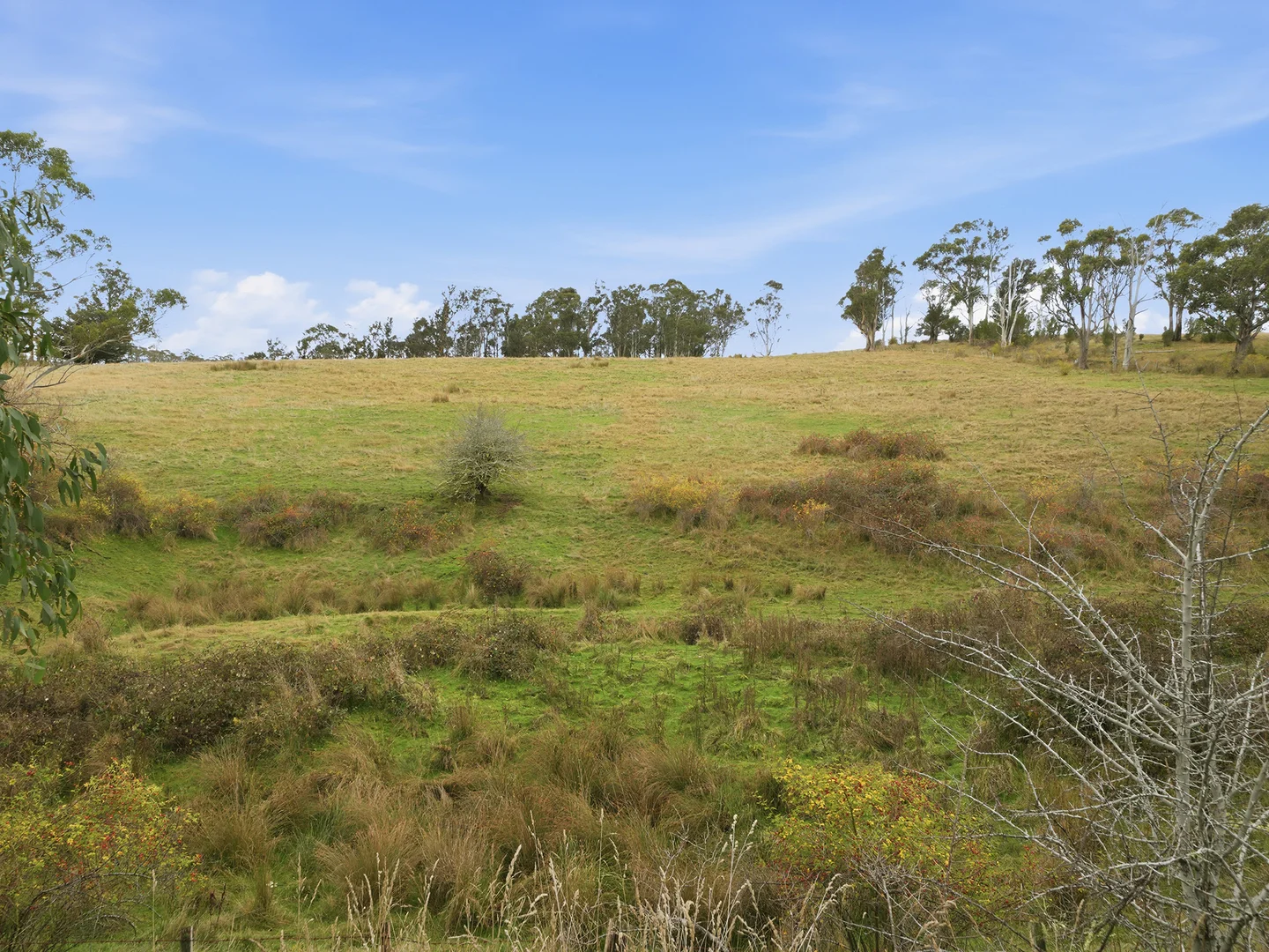 Image 15