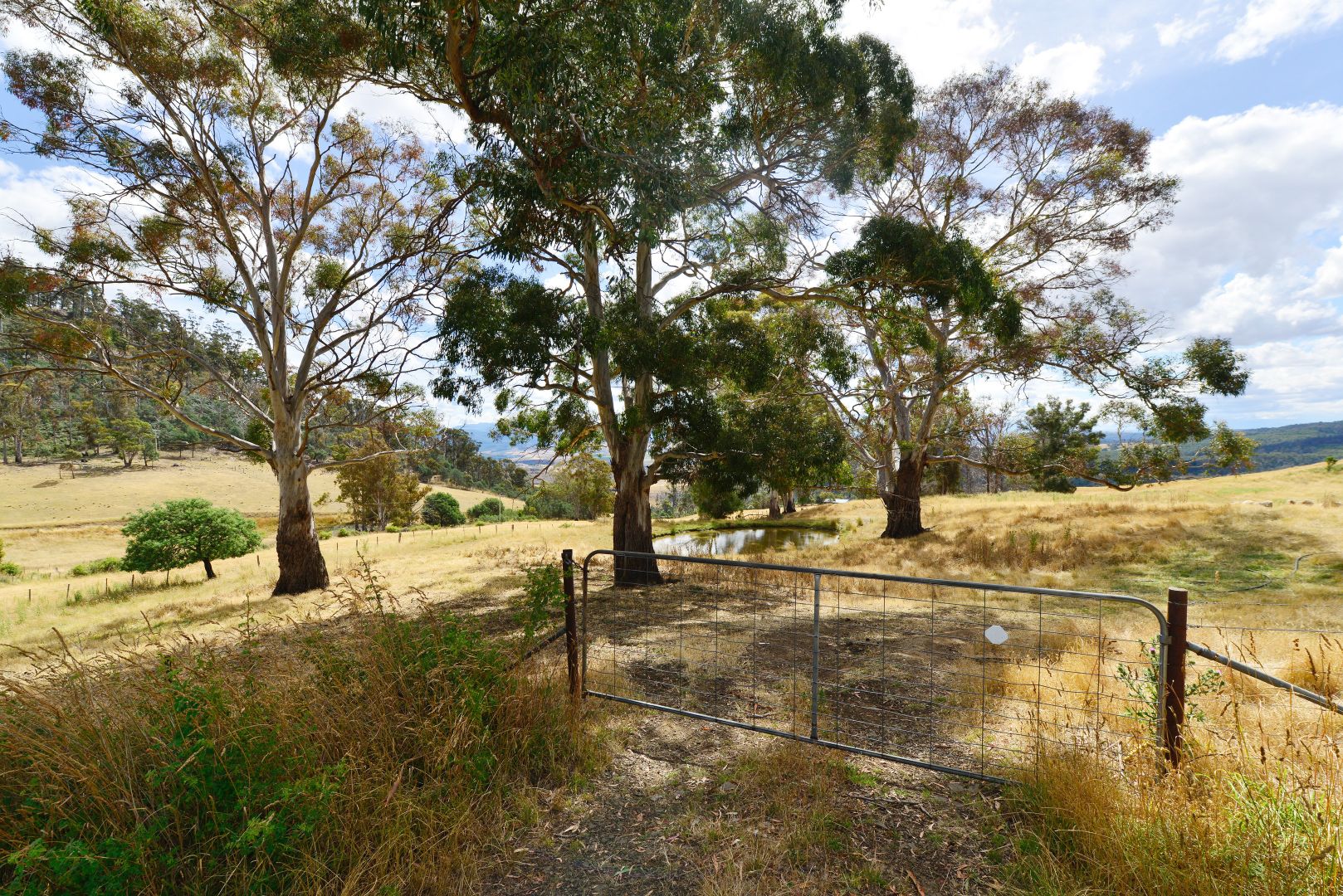 17 Garth Lane, Black Hills TAS 7140, Image 2