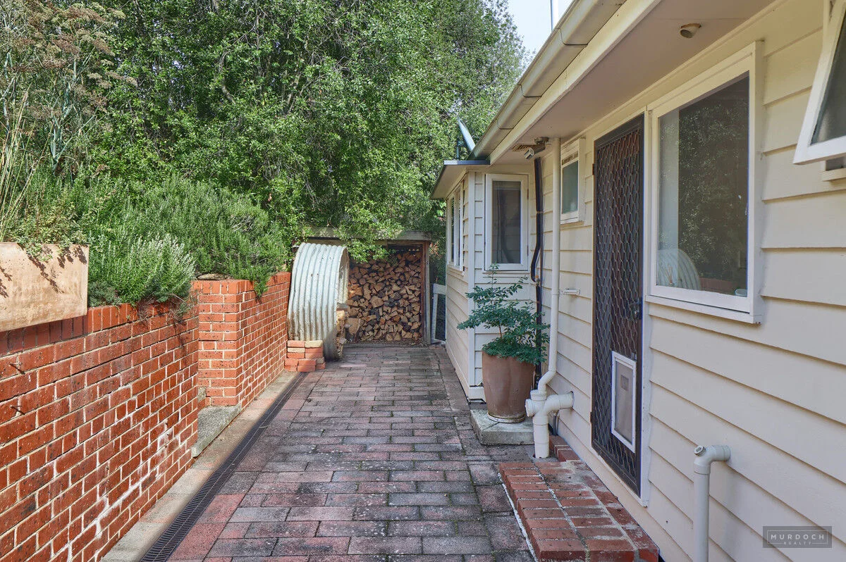 Image 13