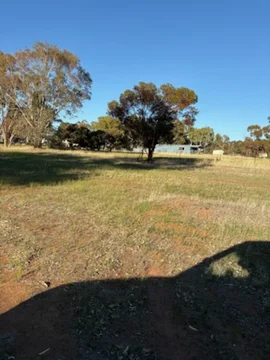 Image 14