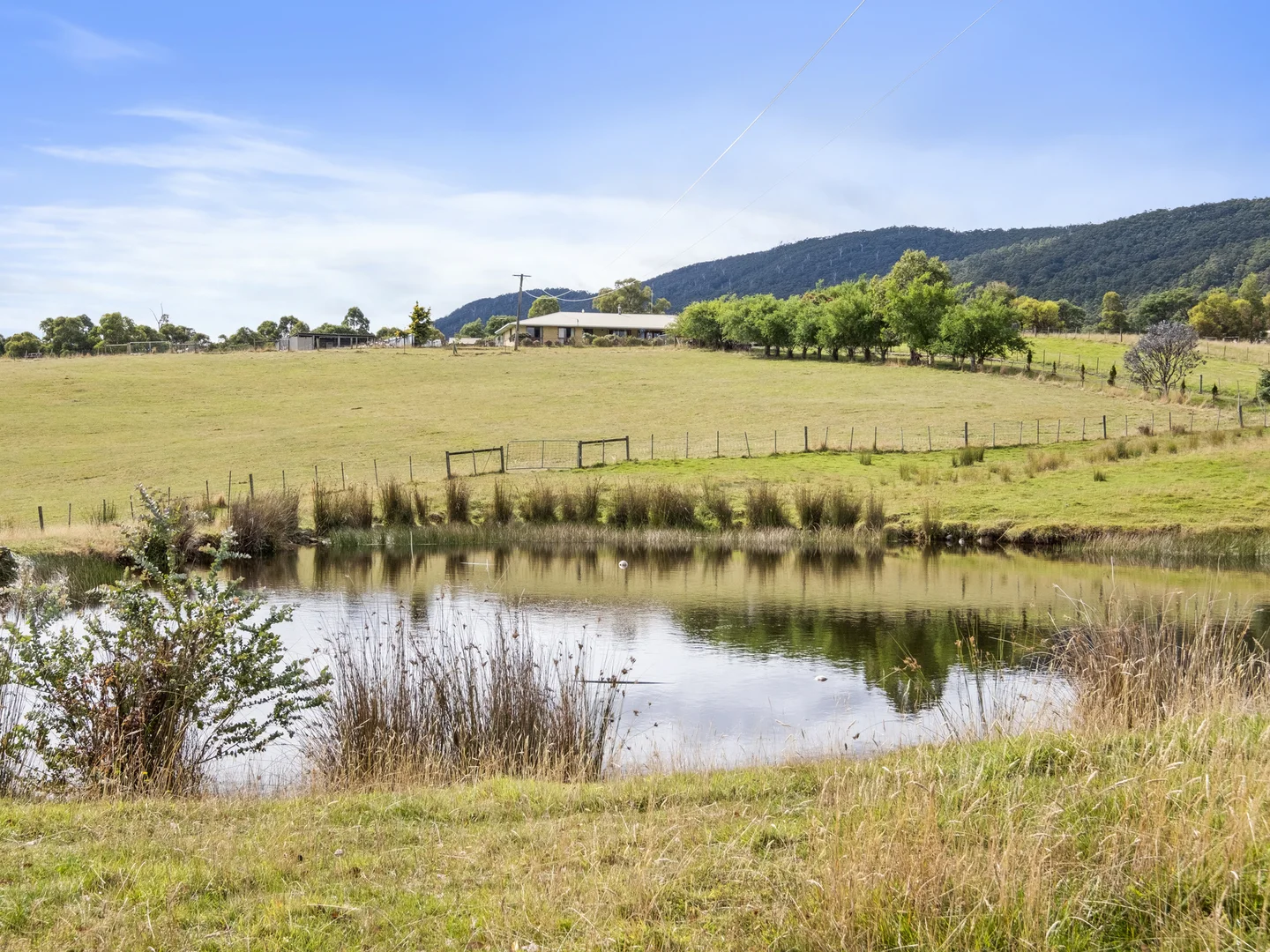 Additional image 3 of 590 Woodbridge Hill Road, Gardners Bay TAS 7112