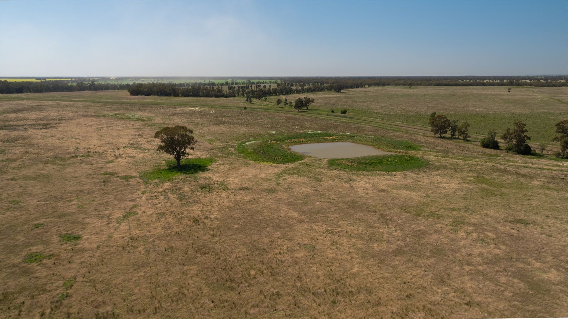 "PART OMAGH" Alagalah Road, Tullamore NSW 2874, Image 2