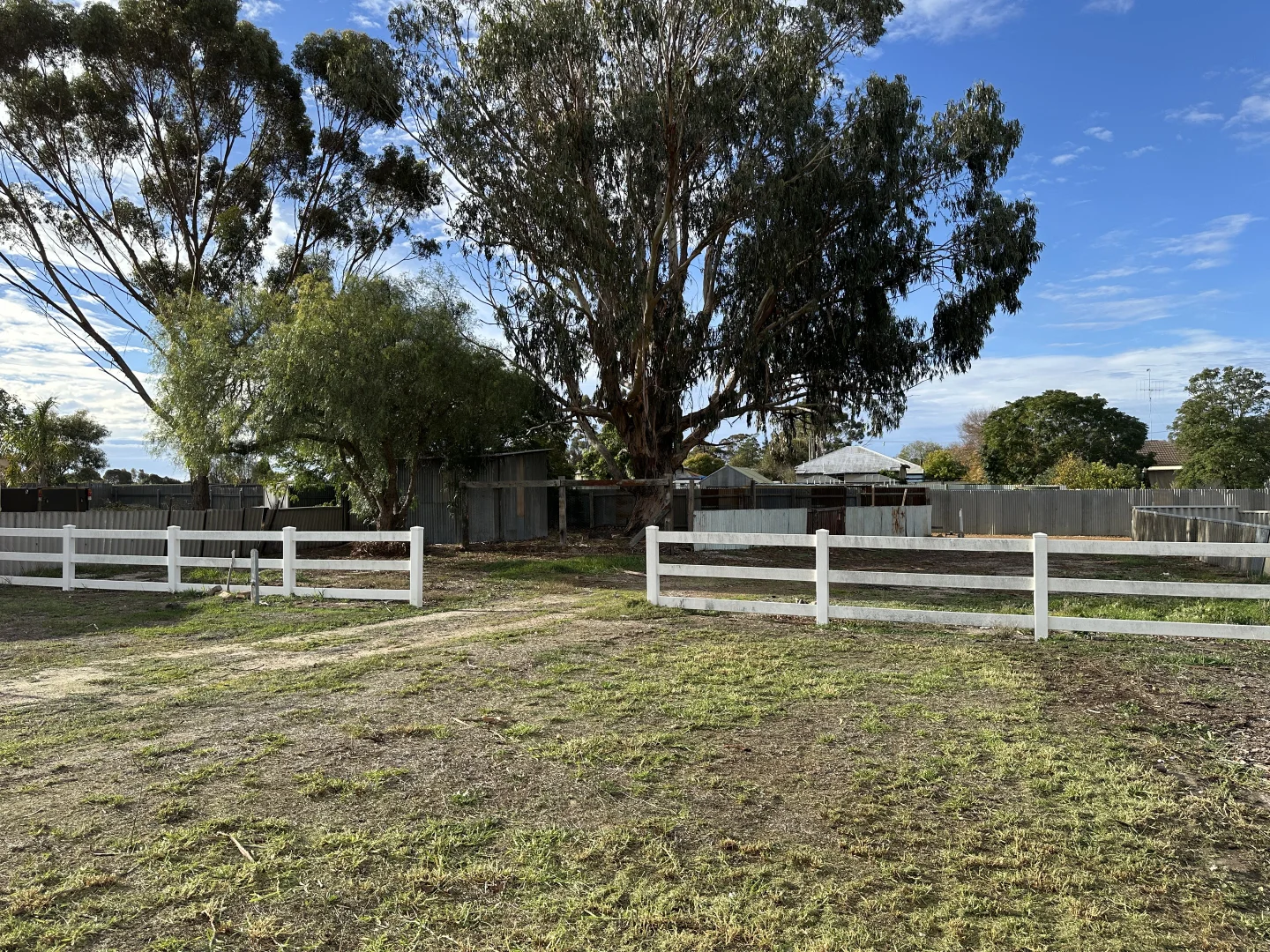 Image 22
