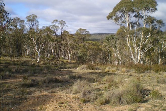 Picture of Lot 76 Mount Macanally Via, PEAK VIEW NSW 2630
