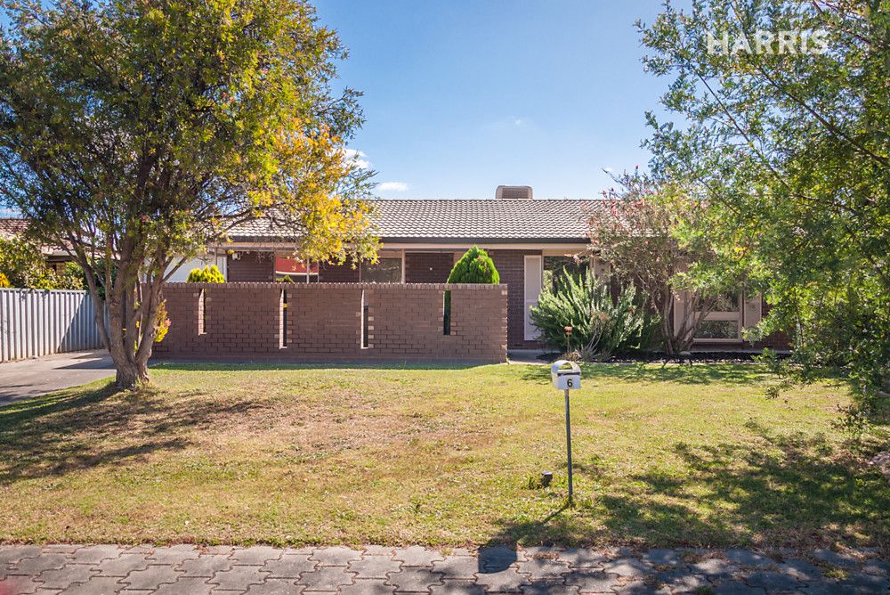 6 Torrensview Road, Athelstone SA 5076