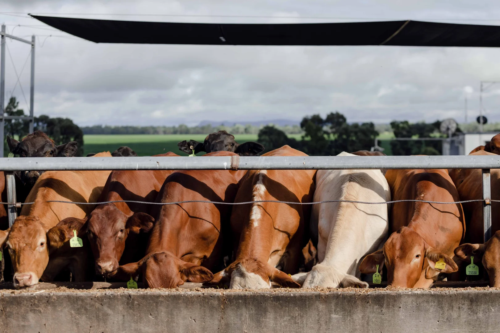 Additional image 6 of 2687 Dawson Developmental Road, Springsure QLD 4722