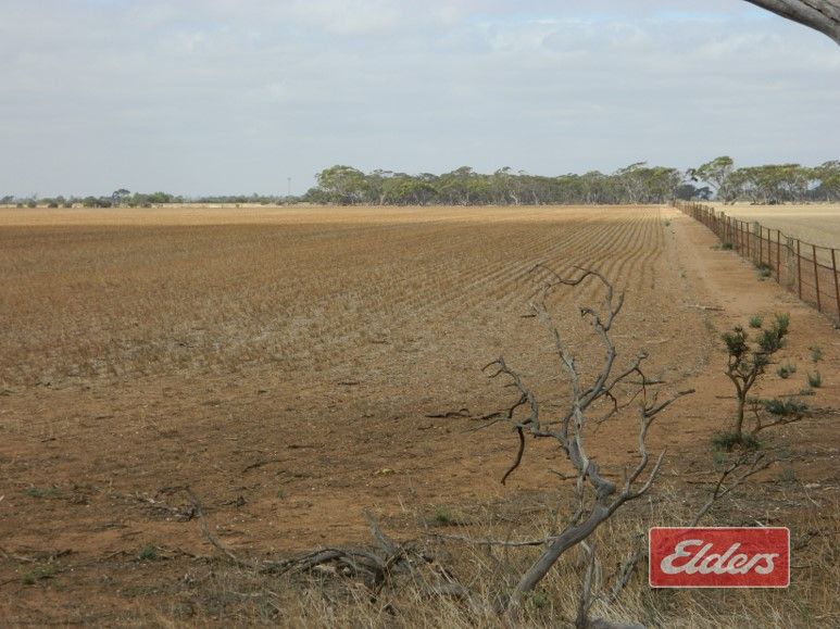 Lot 787 Calomba Road, Mallala SA 5502, Image 1