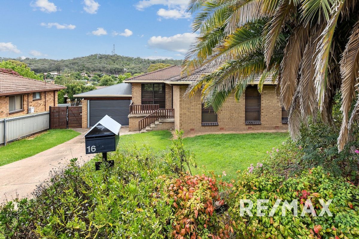 16 Malumba Crescent, Kooringal NSW 2650, Image 0