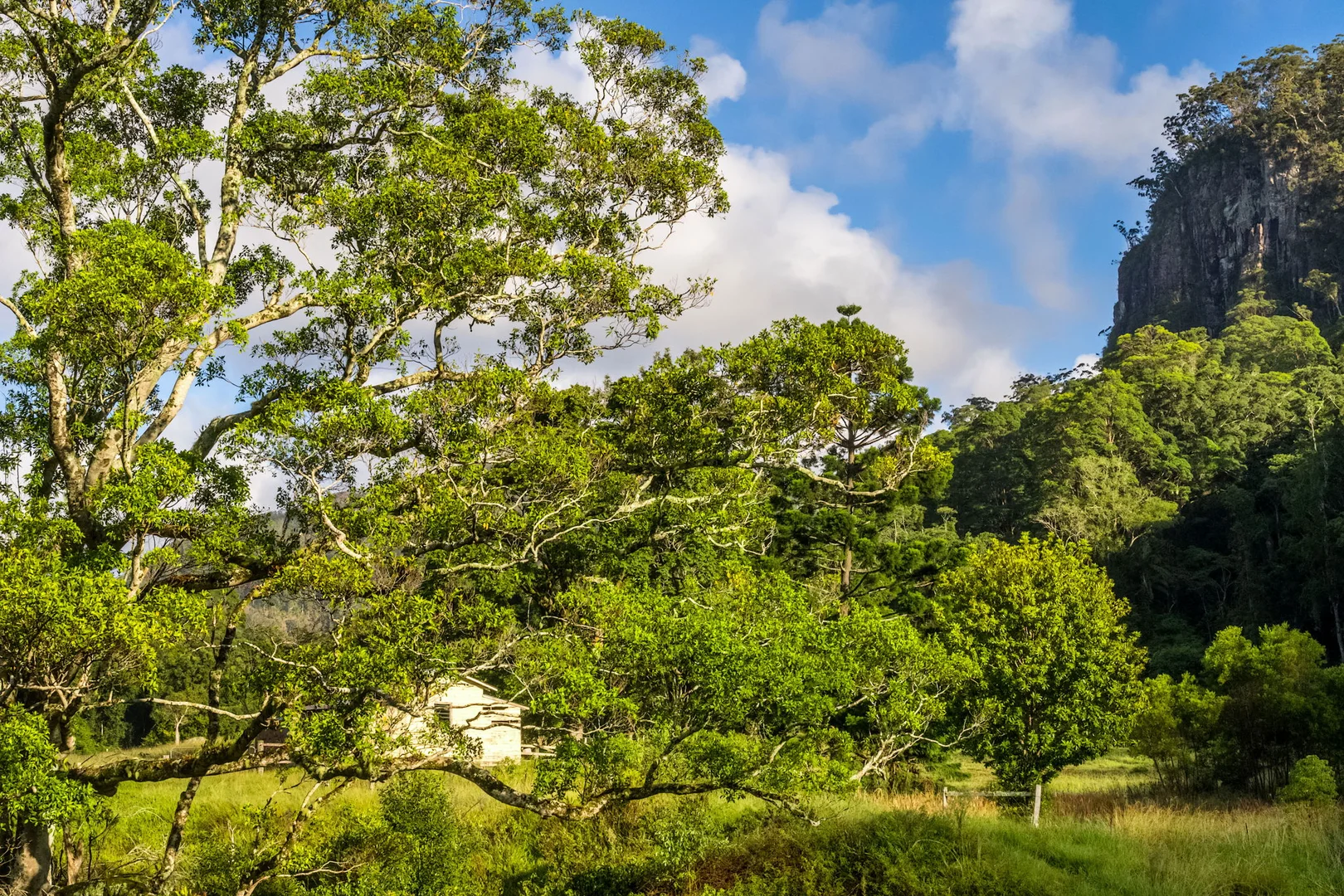 Additional image 35 of 1028 Wilsons Creek Road, Wilsons Creek NSW 2482