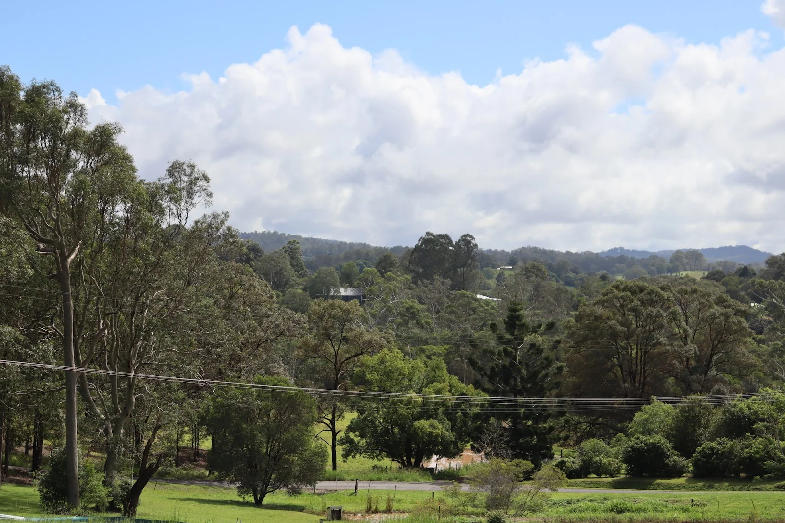 Image 13