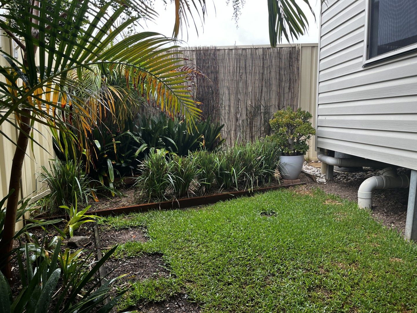 2 bedrooms House in 22A Cranberry Street MACQUARIE FIELDS NSW, 2564