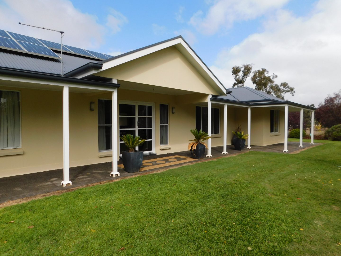 301 Rowney Road, Mundulla SA 5270 House For Rent 450 Domain