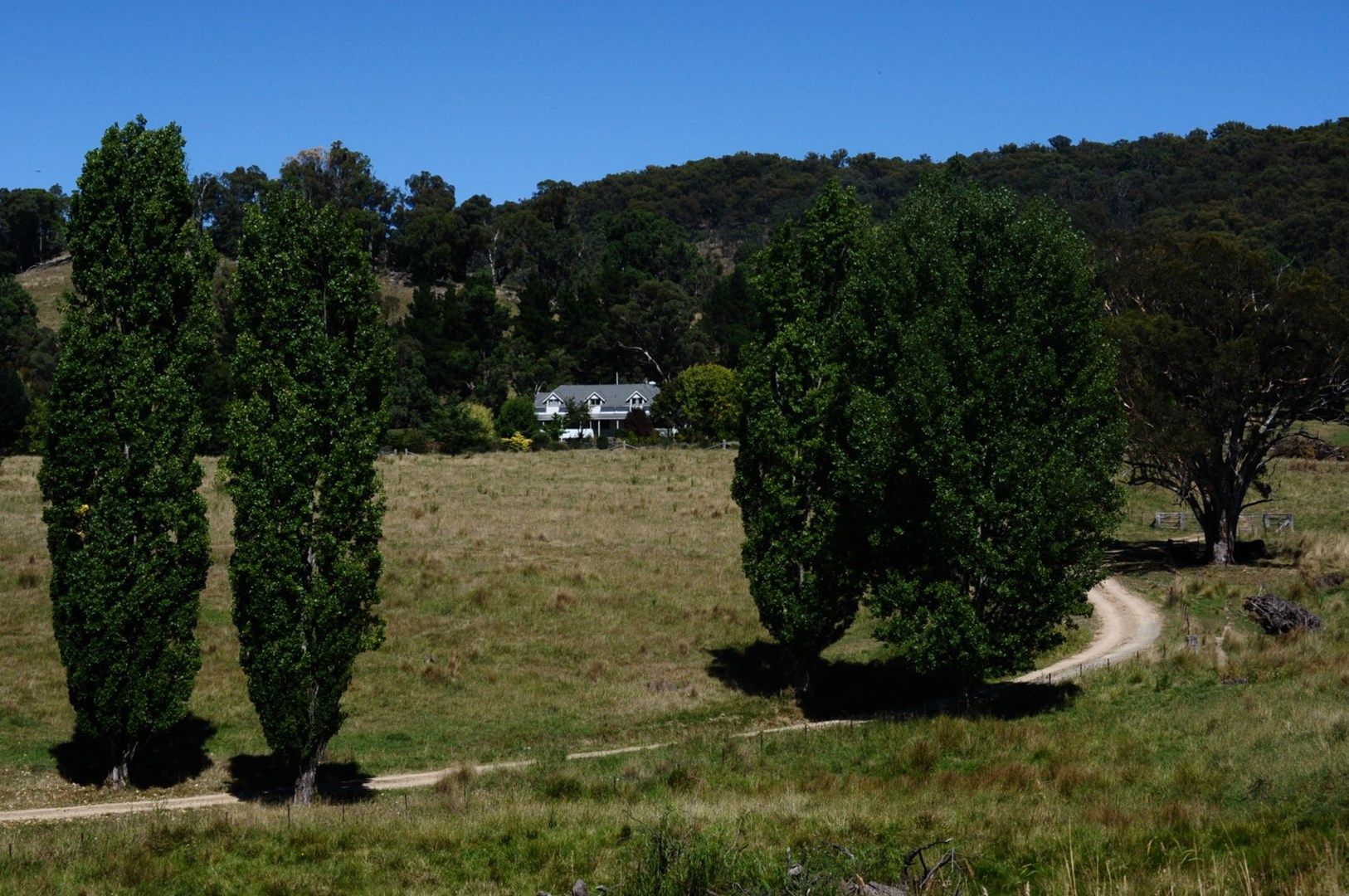 Niangala NSW 2354, Image 0