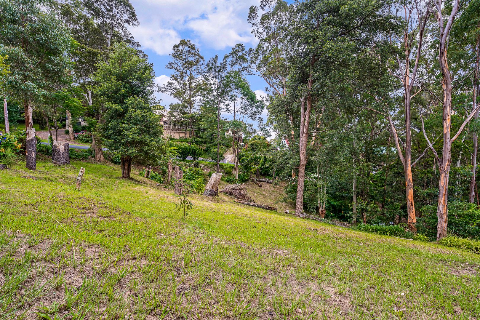 47 Bowen Mountain Road, Bowen Mountain NSW 2753 Domain