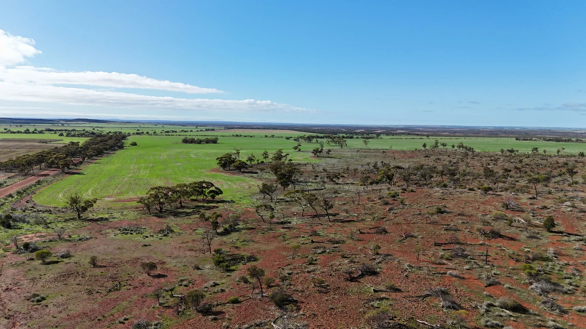 Image 11