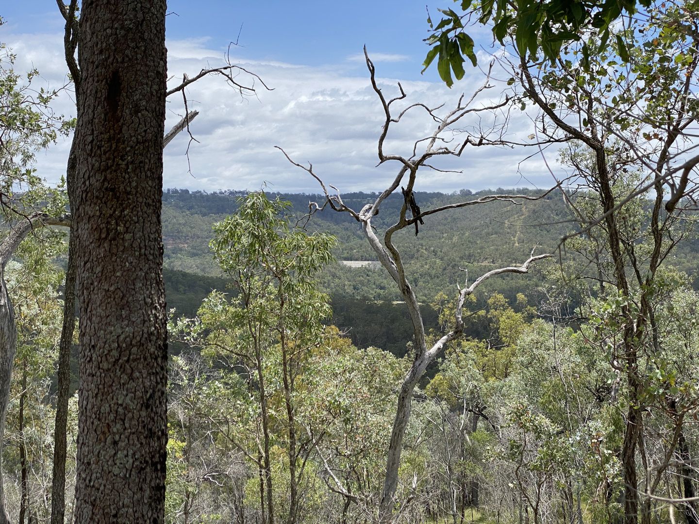 Lot 662 Murphys Creek Road, Murphys Creek QLD 4352, Image 2