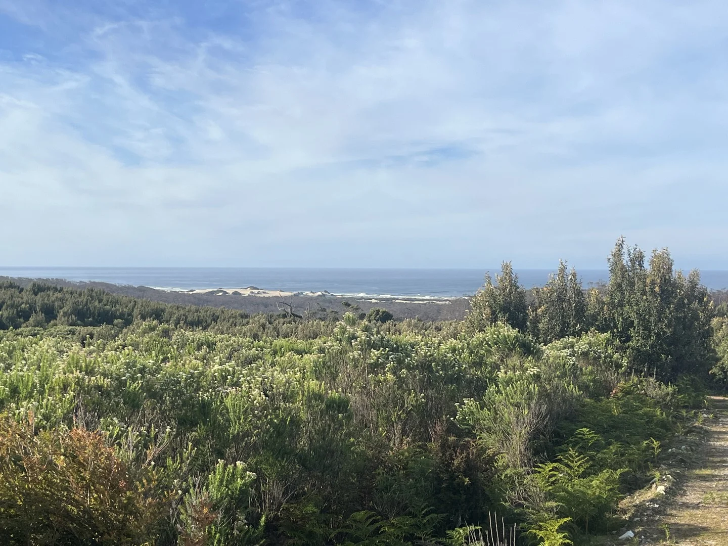 . Wilsons Road, Granville Harbour TAS 7469