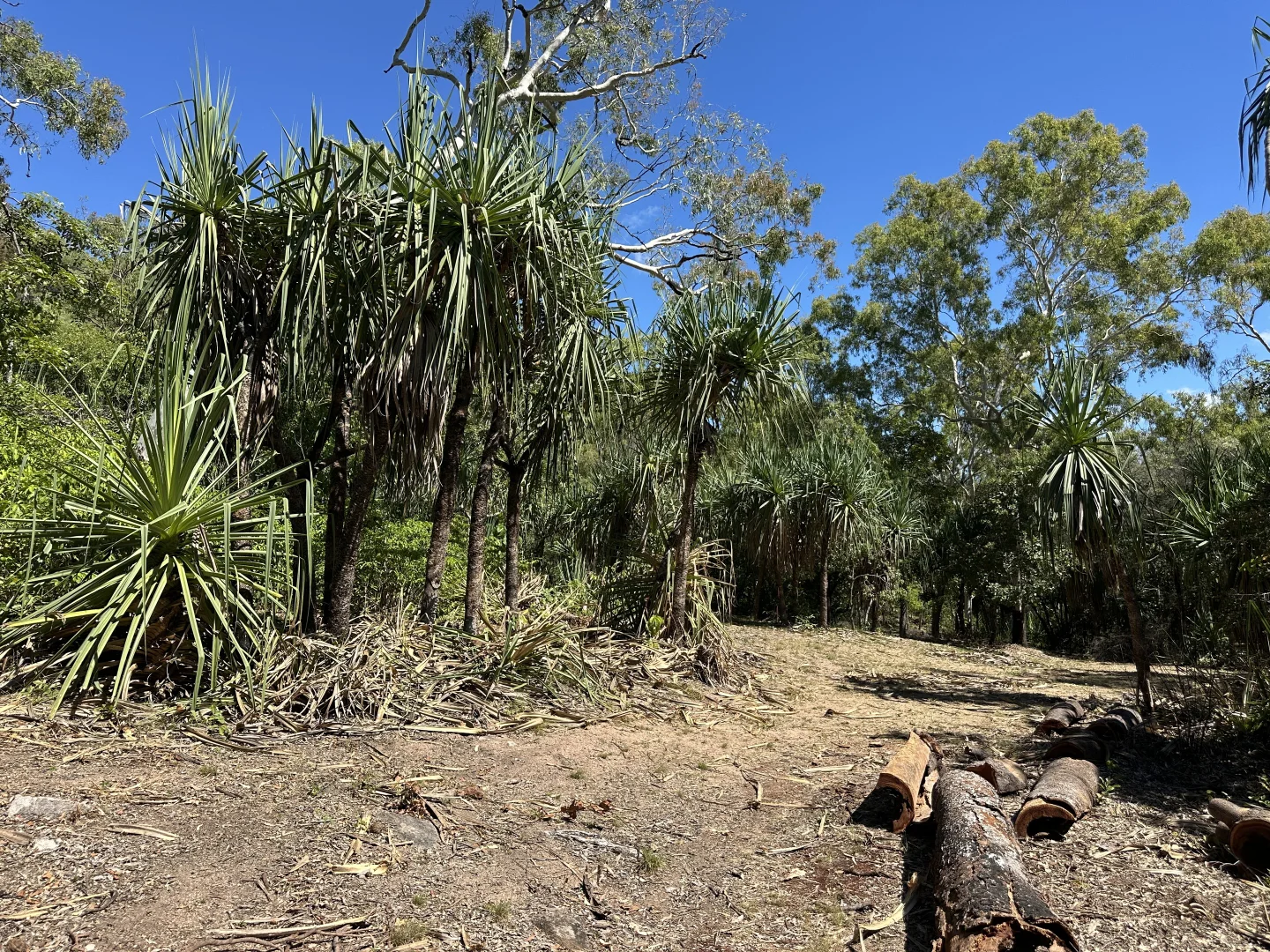 Image 12