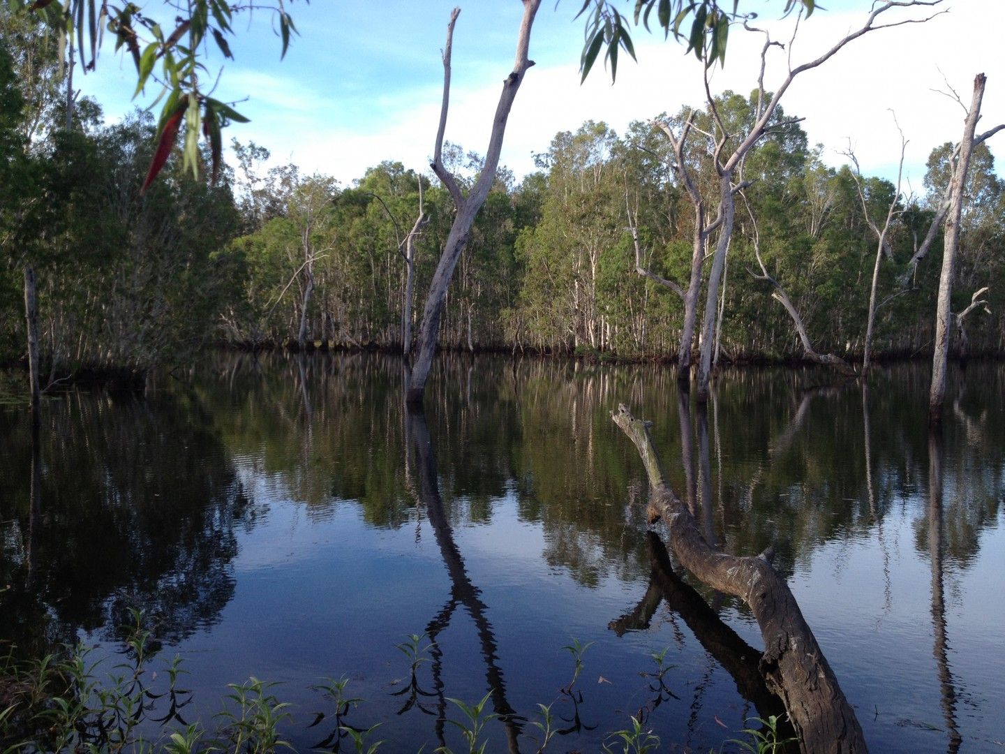 Vacant land in 248 Mt Ossa Seaforth Road, MOUNT OSSA QLD, 4741