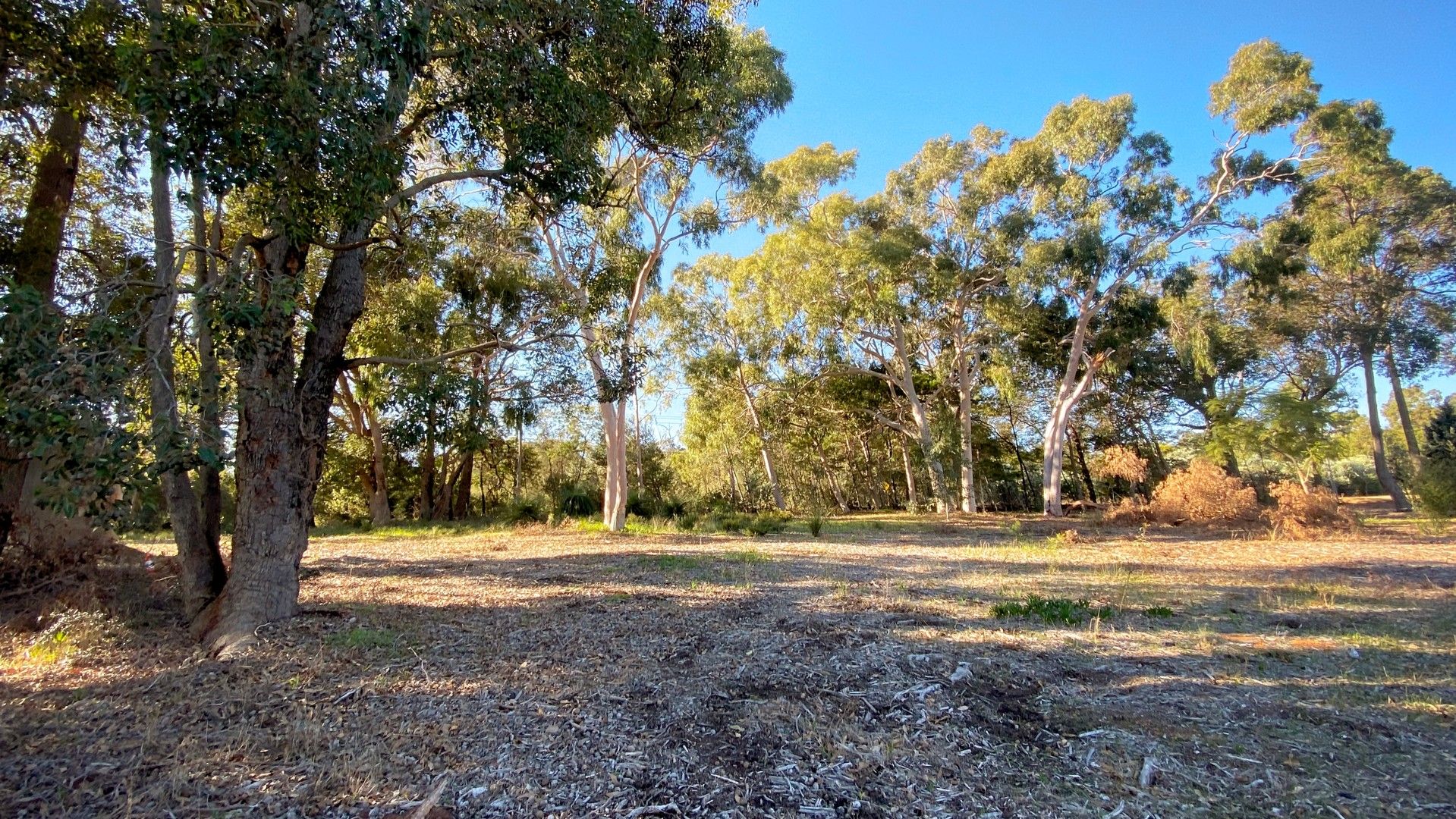 Proposed Lots/98 Lawnbrook Road West, Walliston WA 6076, Image 1