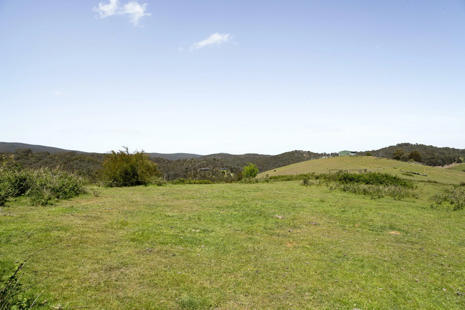 Image 29