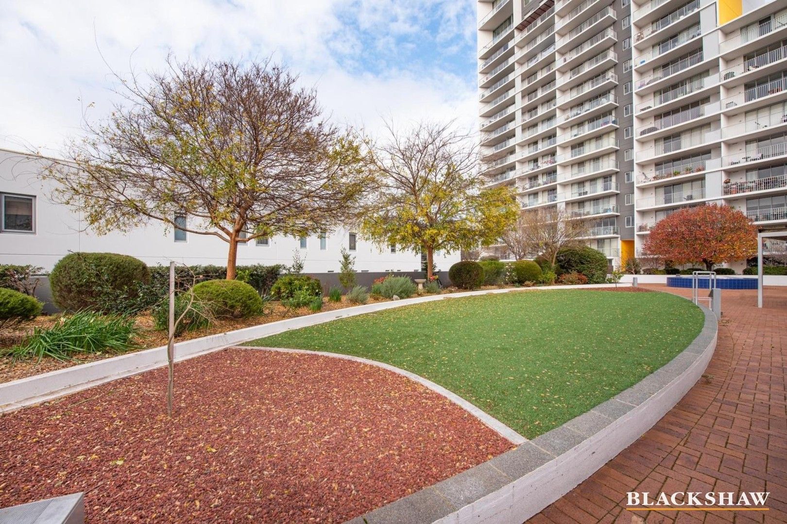 1 bedrooms Apartment / Unit / Flat in 8/60 Callum Street PHILLIP ACT, 2606